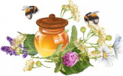 Продукты пчелиной жизнедеятельности